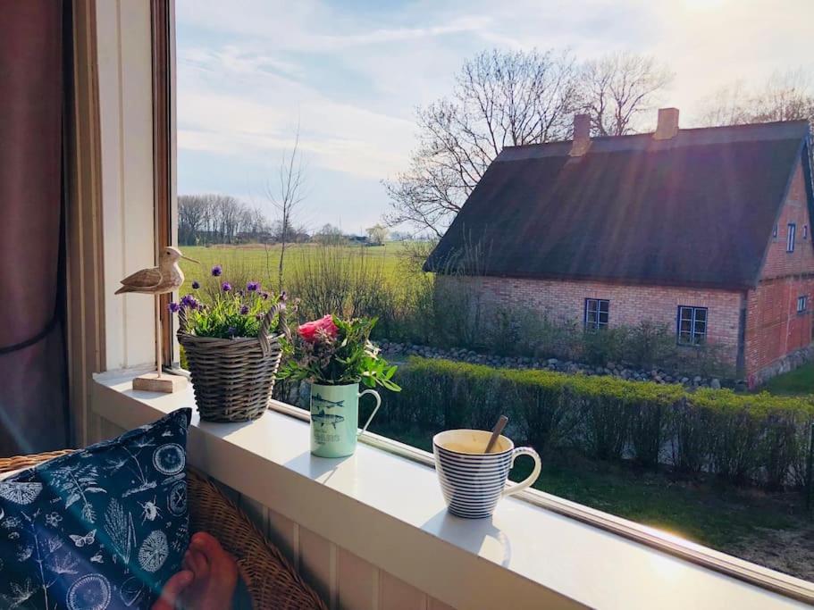 Apartmán Workation Auf Ruegen Ummanz Exteriér fotografie